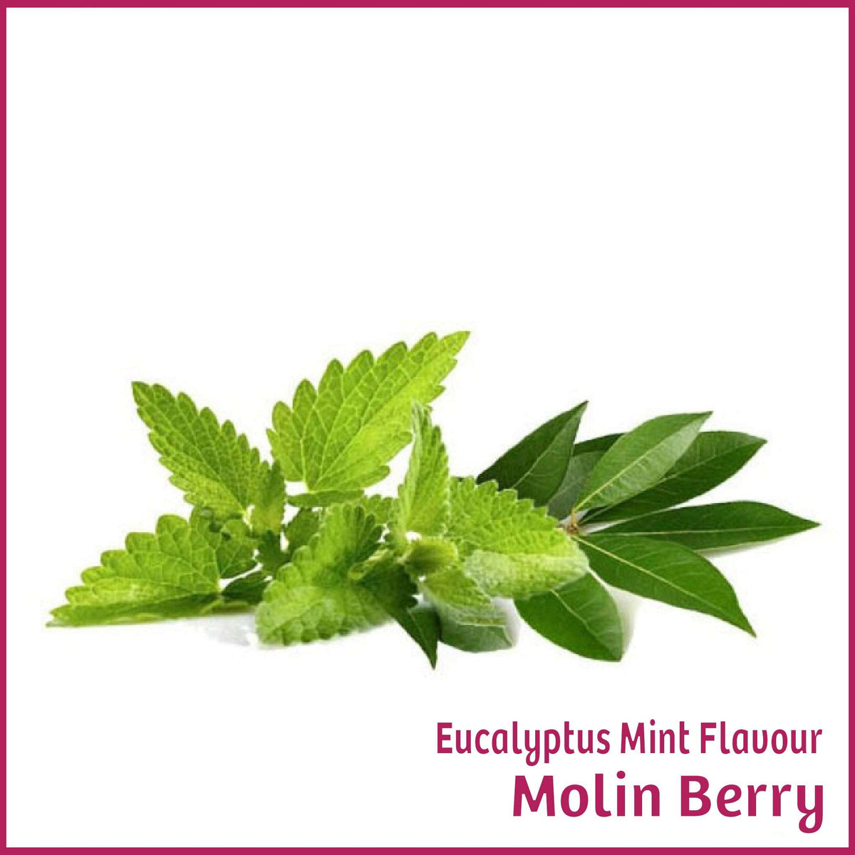 Eucalyptus & Mint Flavour Molin Berry Flavour Fog Canada's flavour
