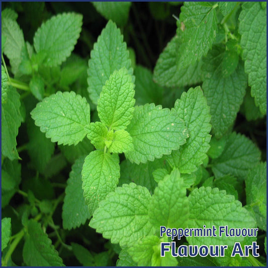 Peppermint (Mild Winter) Flavour - FlavourArt - Flavour Fog - Canada's flavour depot.