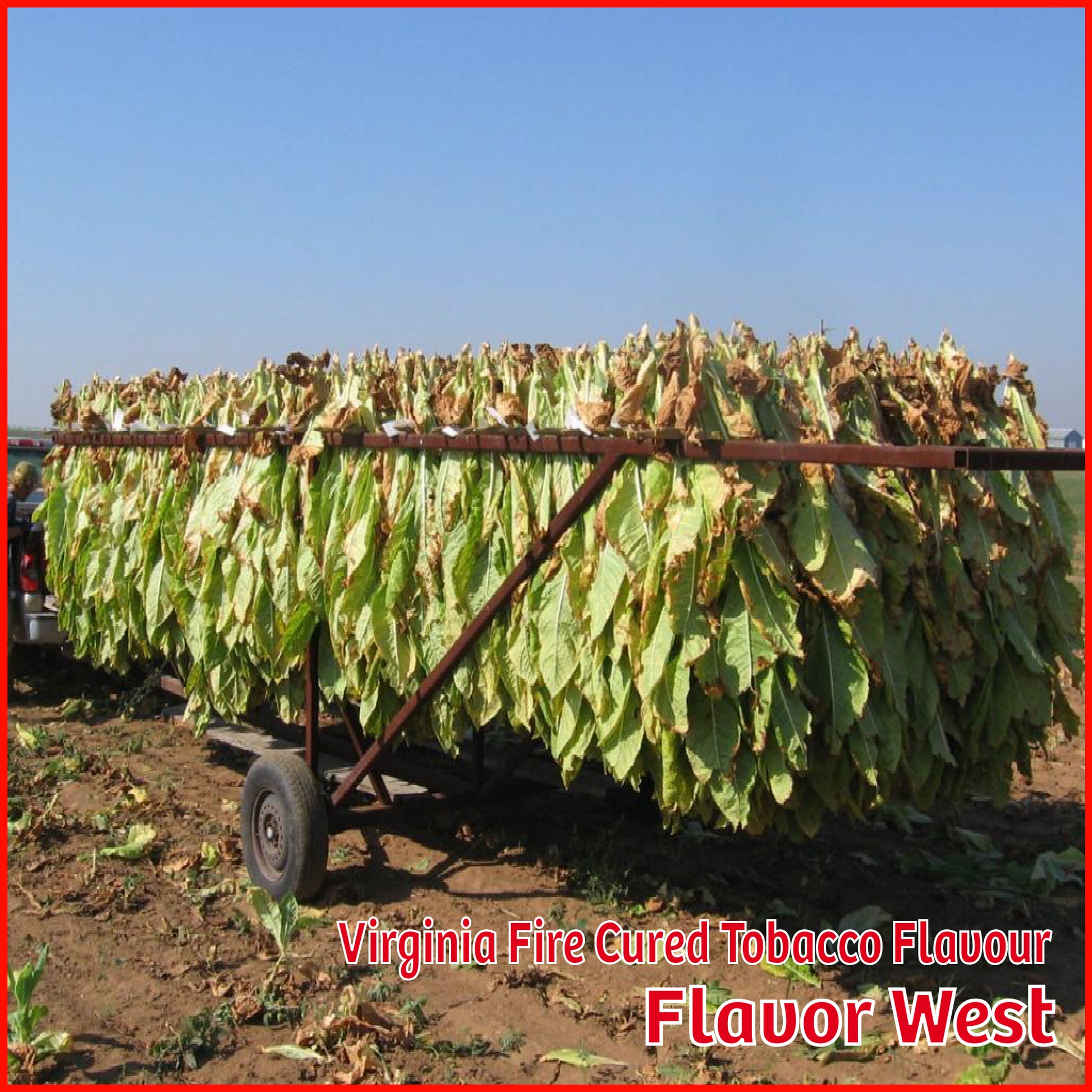 Virginia Fire Cured Flavour - Flavor West - Flavour Fog - Canada's flavour depot.