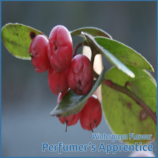 Wintergreen Flavour - TPA/TFA - Flavour Fog - Canada's flavour depot.