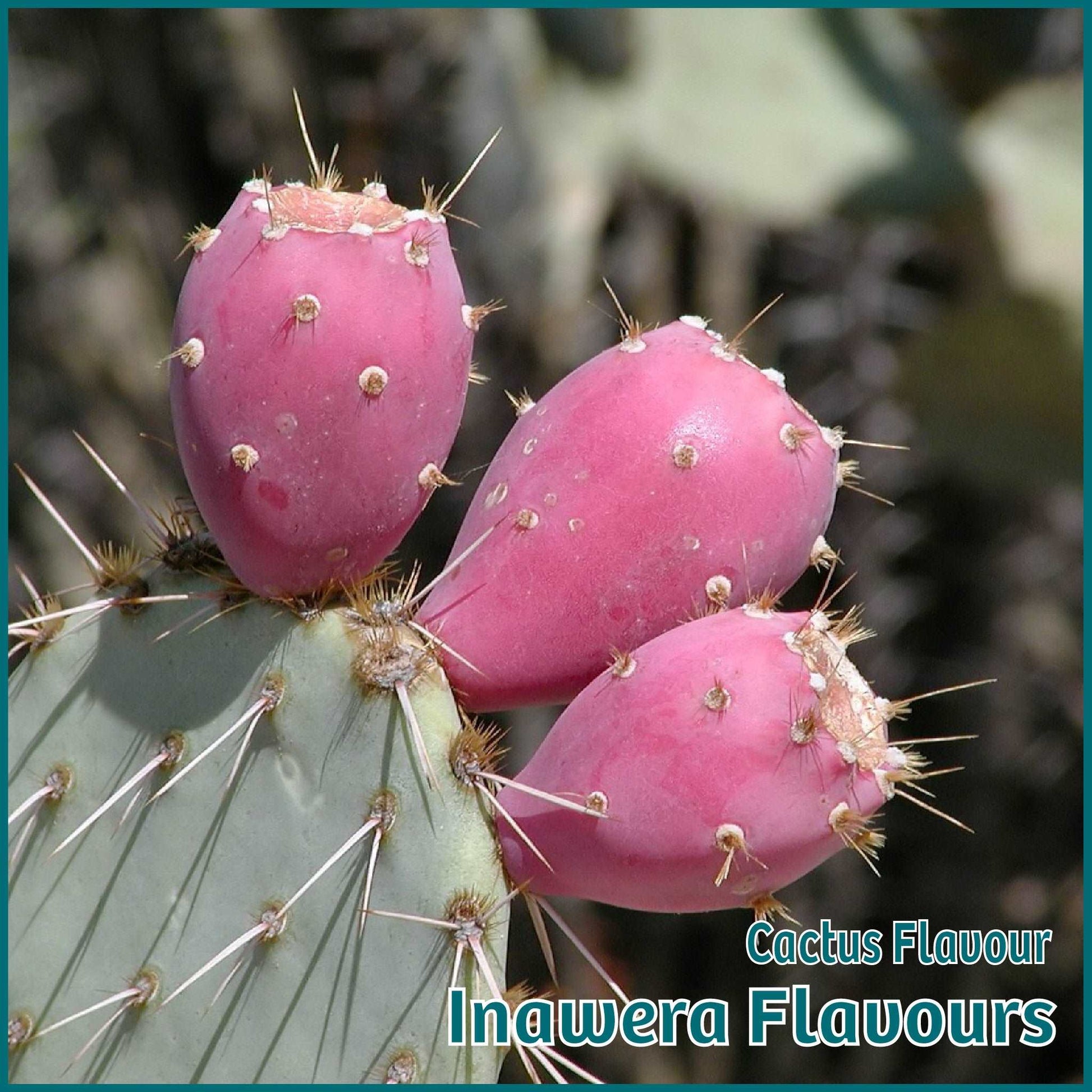 Cactus Flavour- Inawera - Flavour Fog - Canada's flavour depot.