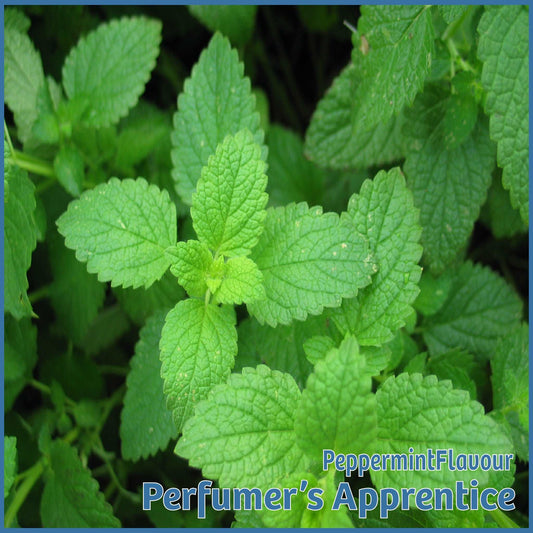 Peppermint Flavour - TPA/TFA - Flavour Fog - Canada's flavour depot.